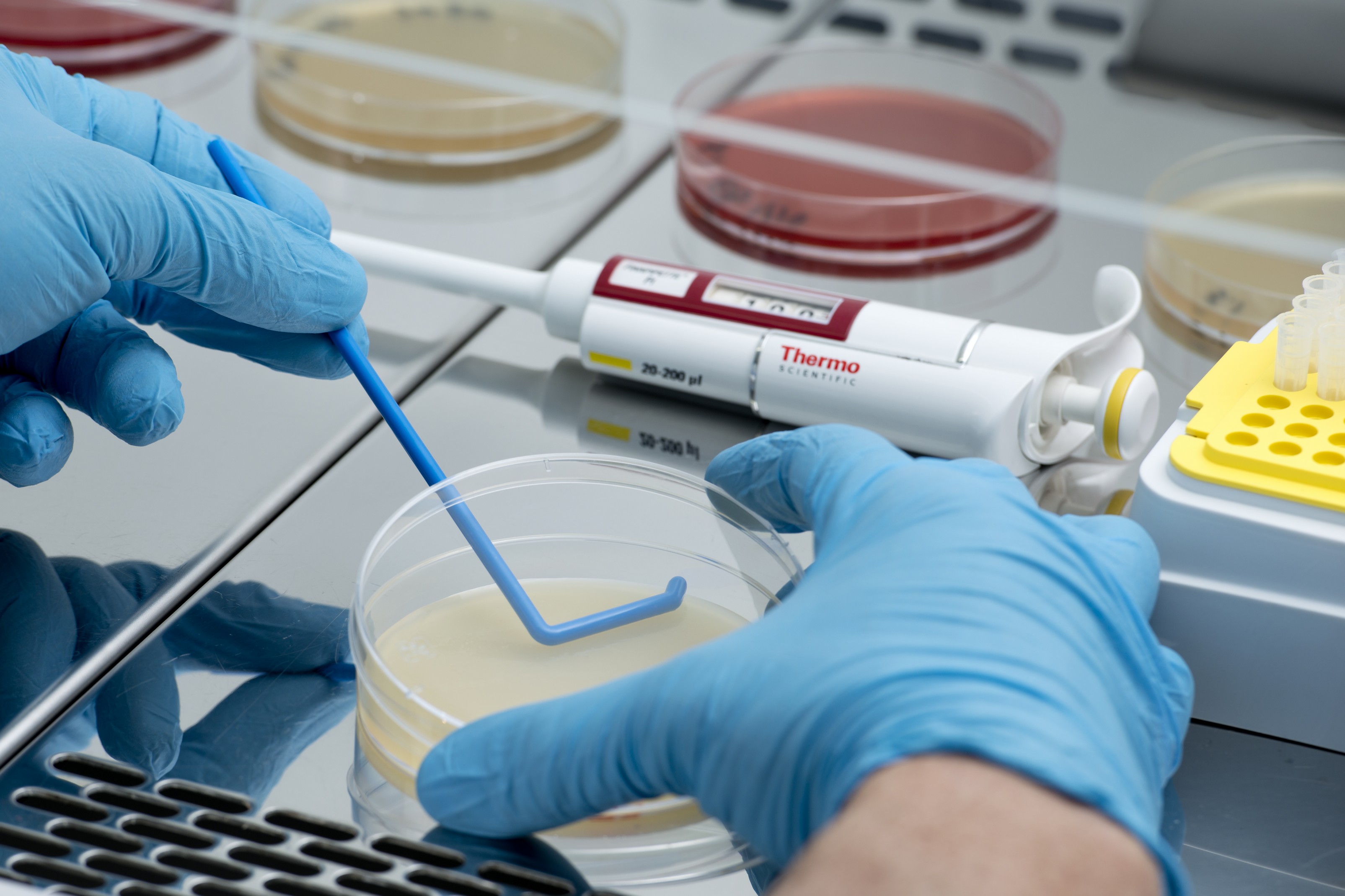 CAMPANA BIOSEGURIDAD